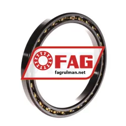 FAG 61820T