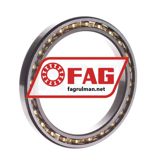 FAG 61817Y