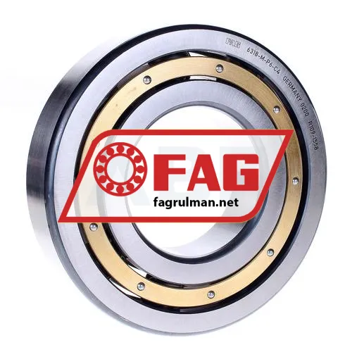 FAG 6318-M-P6-C4