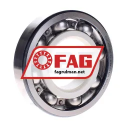 FAG 6317-J20C-C3