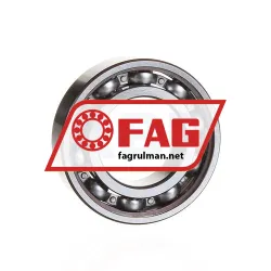FAG 6005-J22C-J22R