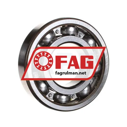 FAG 6310-HLH