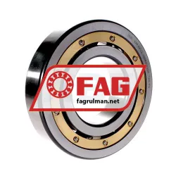 FAG 6319-MA-C4