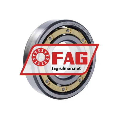 FAG 6312-M-P5-C2