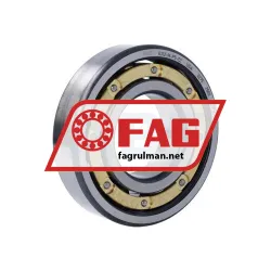 FAG 6312-M-P5-C2