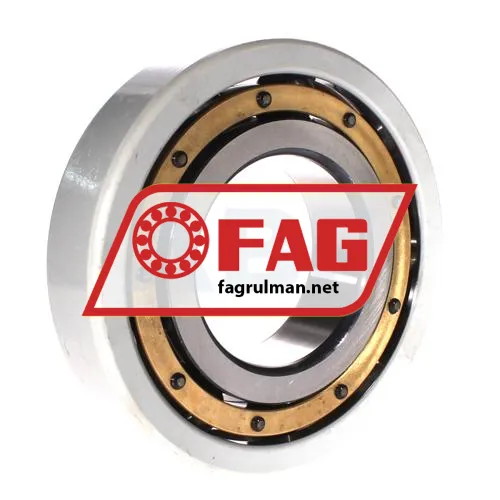 FAG 6319-M-J20AA-C4 ürün fotoğrafı 2