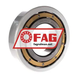 FAG 6319-M-J20AA-C4