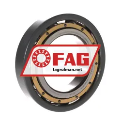 FAG 6217-M-C3-J20AA