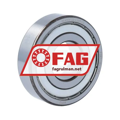 FAG HC6306-2Z-L207-C3