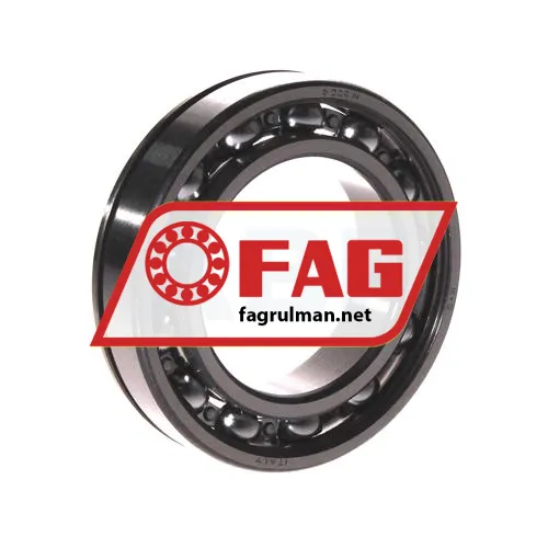 FAG 6009N