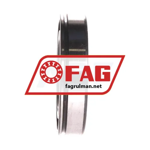 FAG 6009N ürün fotoğrafı 2