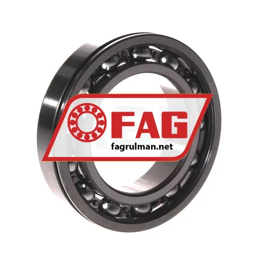 FAG 6009N ürün fotoğrafı 3