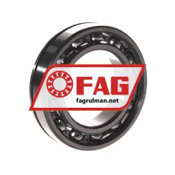 FAG 6009N