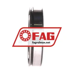 FAG 6009N rulman resim 2