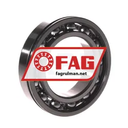 FAG 6009N rulman resim 3