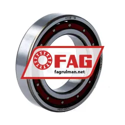 FAG 6008TB