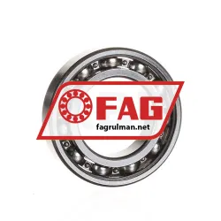 FAG 6007N