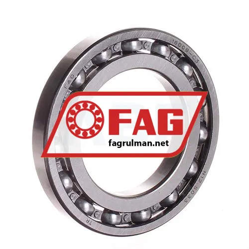 FAG 16009-A-C3
