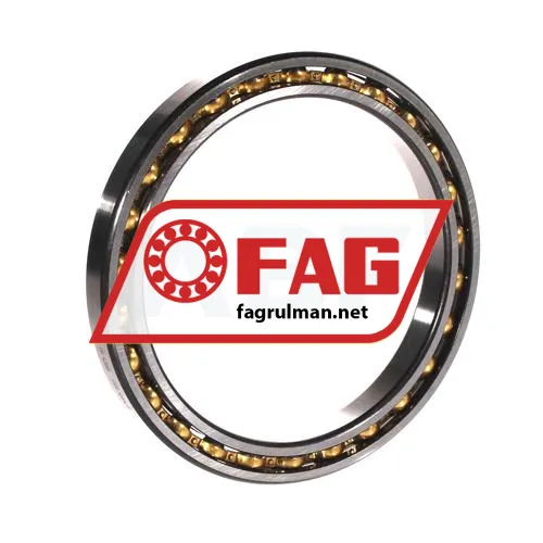 FAG 61819-Y
