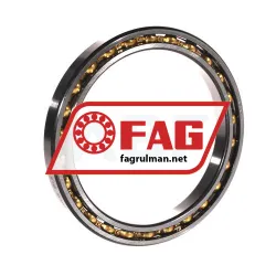 FAG 61819-Y