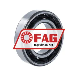 FAG 6006-TVH-C3