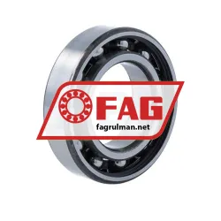FAG 6006-TVH-C3 rulman resim 2
