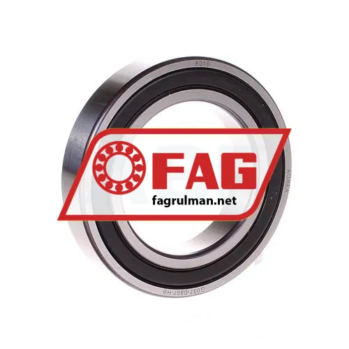FAG 6010-RSR