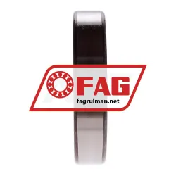 FAG 6010-MA-C3 rulman resim 4