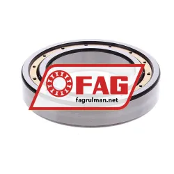 FAG 6010-MA-C3 rulman resim 5