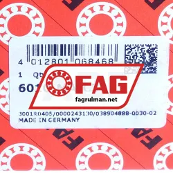 FAG 6010-MA-C3 rulman resim 7