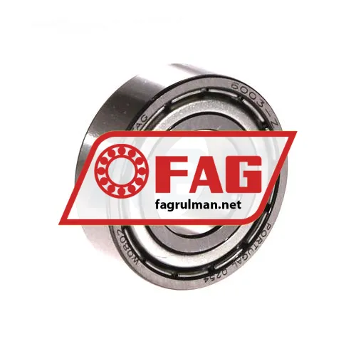 FAG 6003-Z