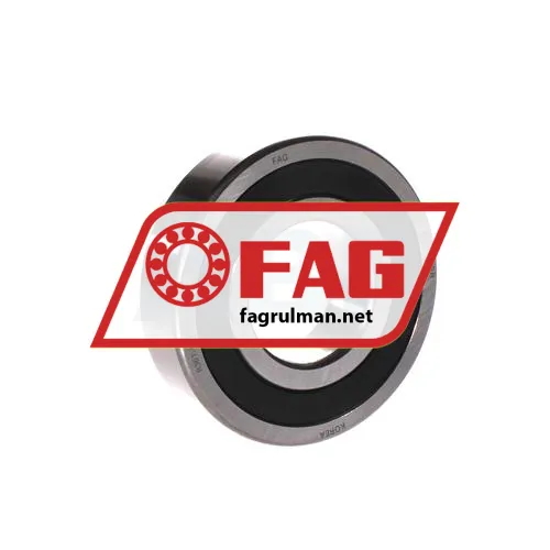 FAG 6309-2RSR