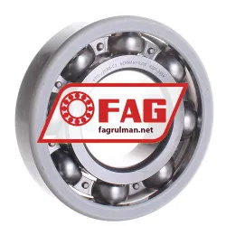 FAG 6313-J20AB-C3