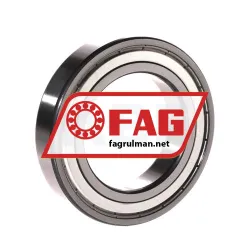 FAG 6011-2Z-C3 rulman resim 2