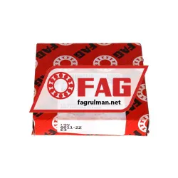 FAG 6011-2Z-C3 rulman resim 3