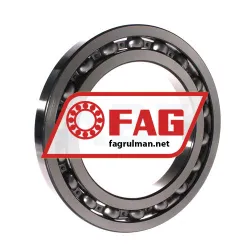 FAG 16026-C3 rulman resim 2