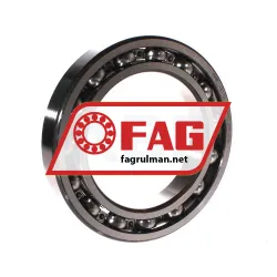 FAG 16021-C3