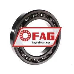 FAG 16021-C3 rulman resim 2