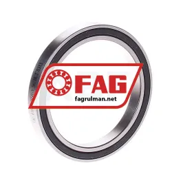 FAG 61809-2RSR-Y