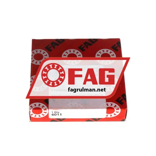 FAG 6011 ürün fotoğrafı 2