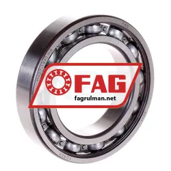 FAG 6011