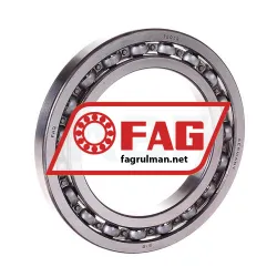 FAG 16013
