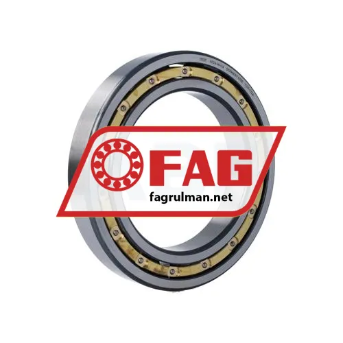 FAG 6024-M-C4