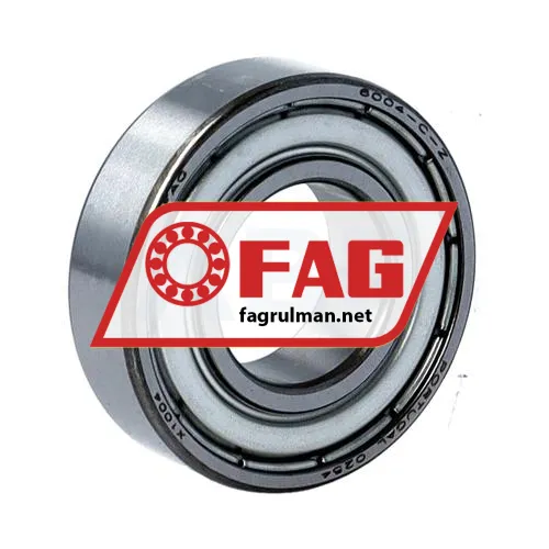FAG 6004-C-Z