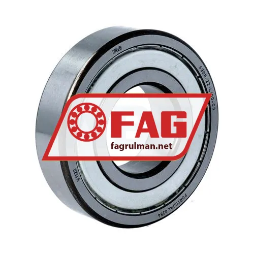 FAG 6308-2Z-L100-C3
