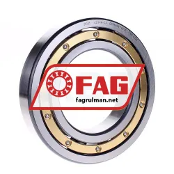 FAG 6219-M-C4