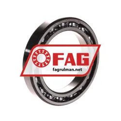 FAG 61911-C3