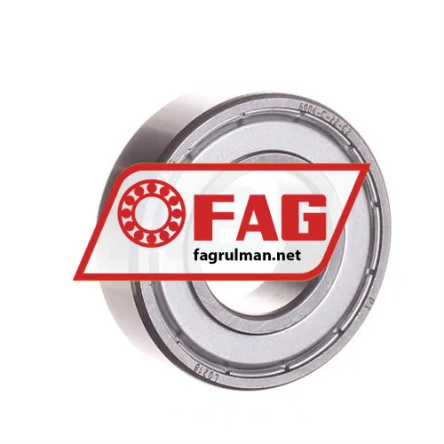 FAG 6004-C-2Z-C2