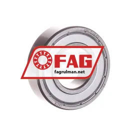FAG 6004-C-2Z-C2