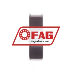 FAG 6004-C-2Z-C2 rulman resim 2